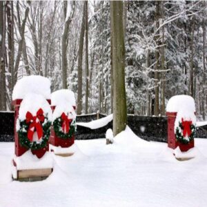 Dealing With Winter Honeybee Withdrawal Image